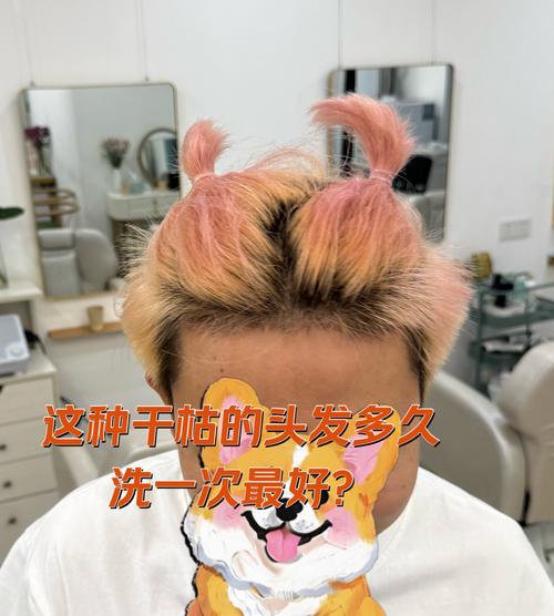 客户服务 第26页