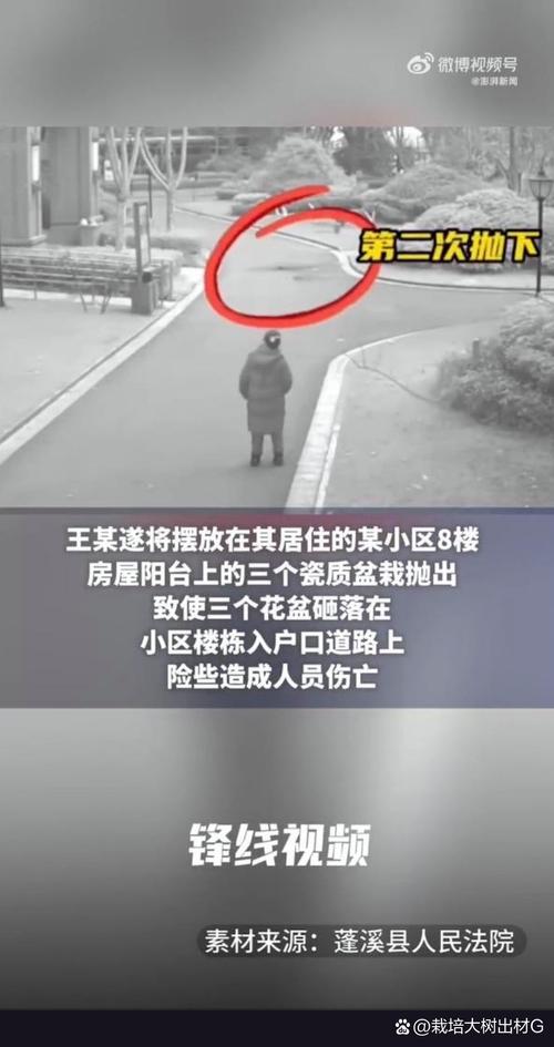 天降花盆砸路人脚边,花盆坠落将人砸死